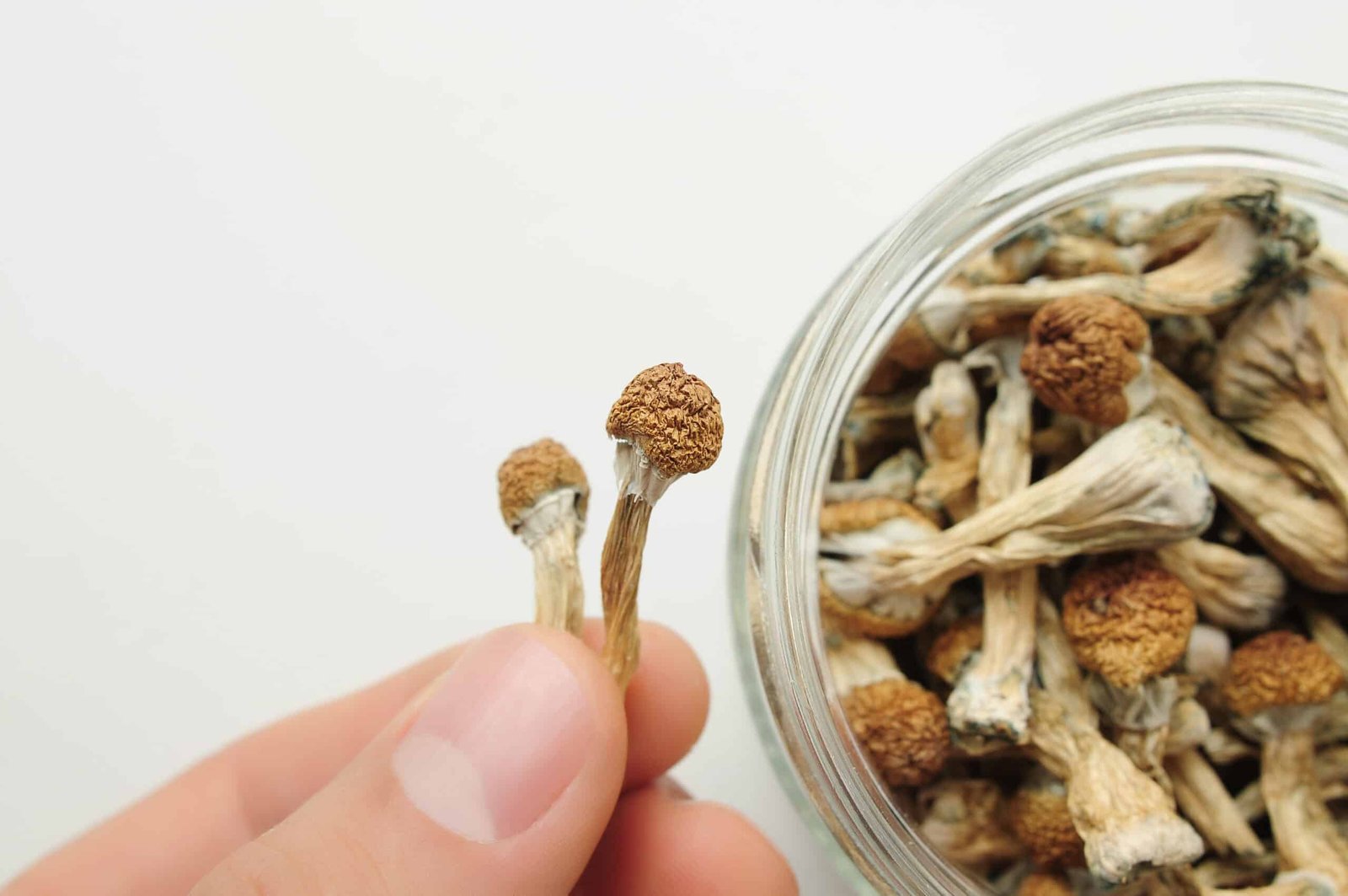 About us Psychedelic Research Compounds